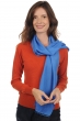 Cashmere & Seide accessoires kaschmir schals scarva kornblume 170x25cm